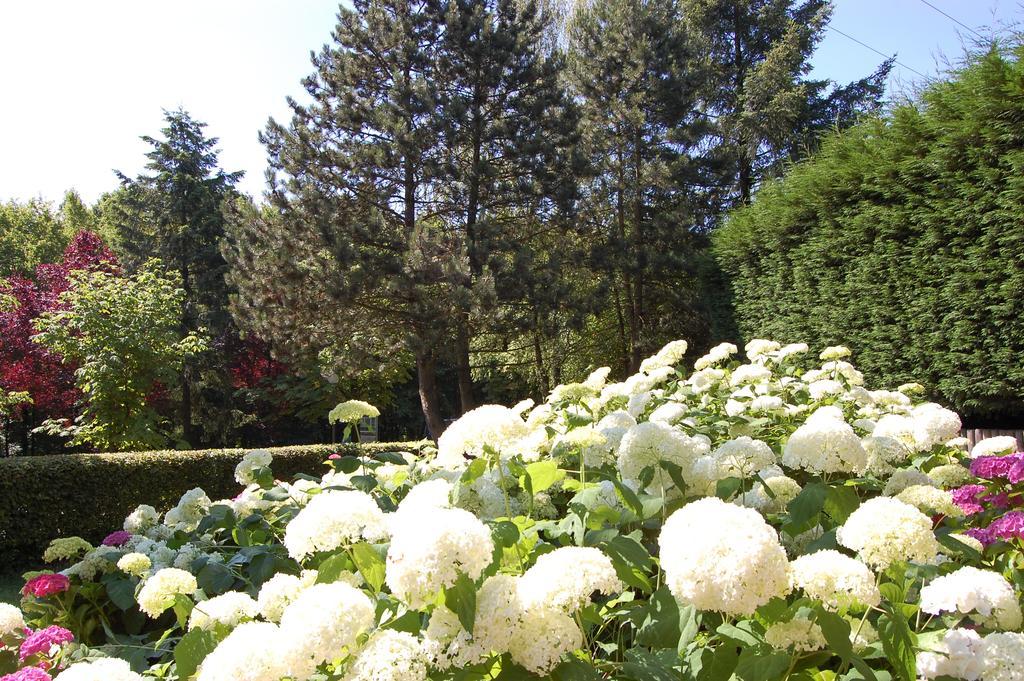 Hotellerie Waldesruh Oberlimberg エクステリア 写真